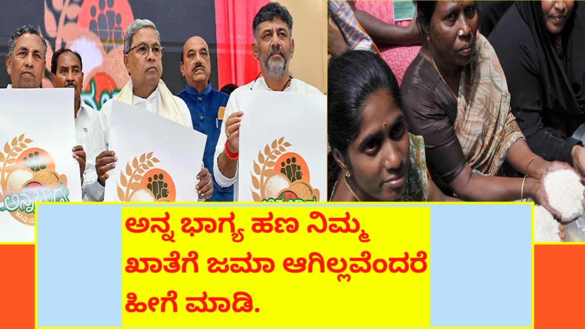 Here are the new guidelines on what to do if you haven't received your Annabhagya payment yet.